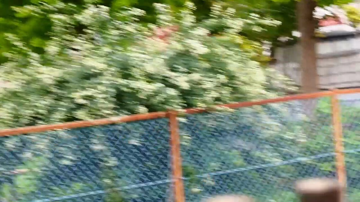 1ztk-i5ye8d2j7cg