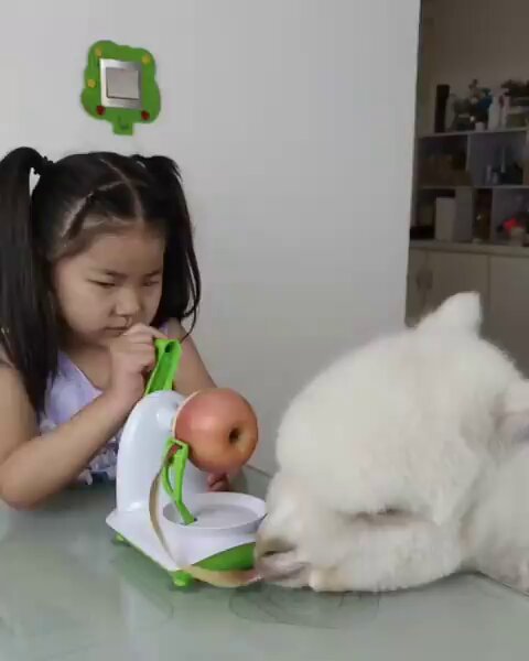 wpyltlqoieep7pye