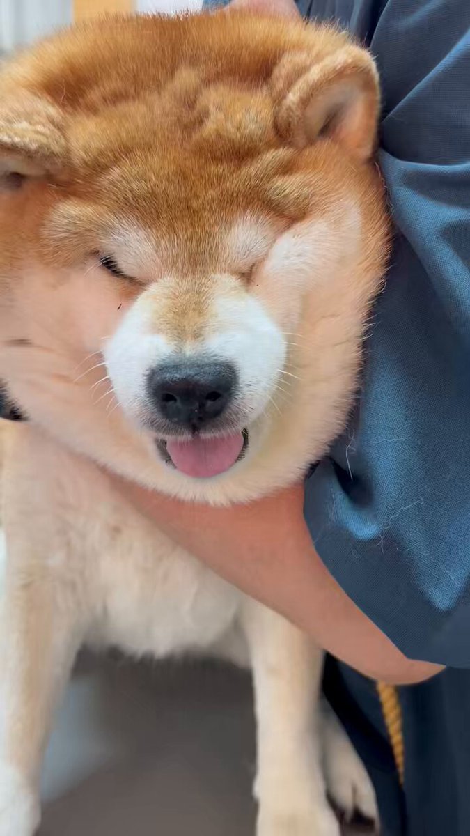 etqlxj8avzyuwndc