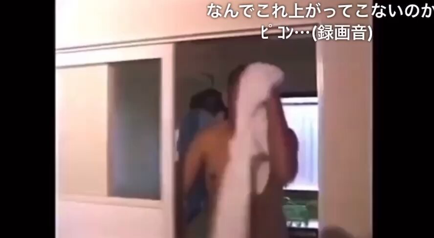 jpzbmnpre0-f43q8