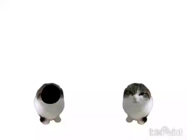 yxfuvqijcyqybqef