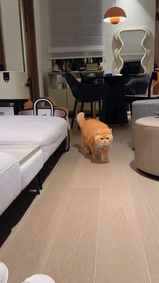 atwo6w2xdvdzovvv