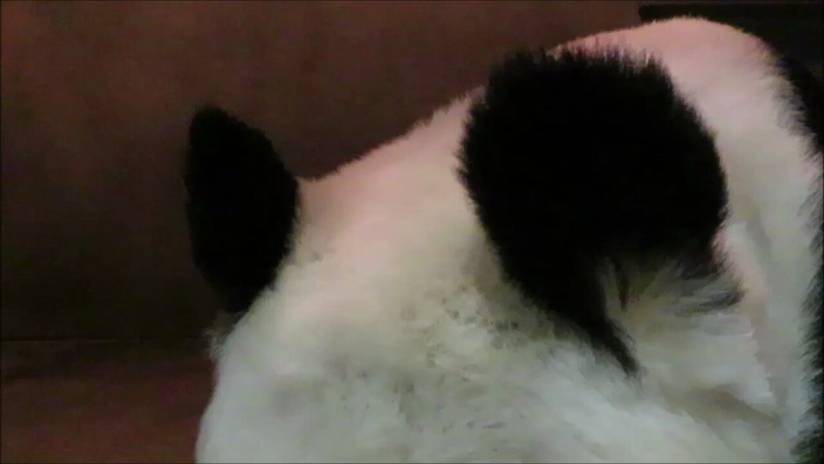 6qkqs9o2cdozjhce