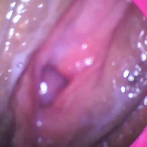 jppb69knkppnzqlk