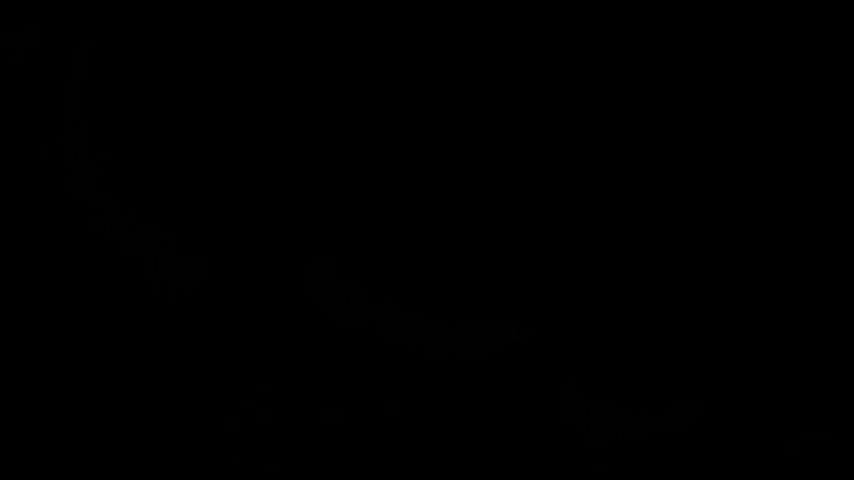 g6shue-wofiio2-t