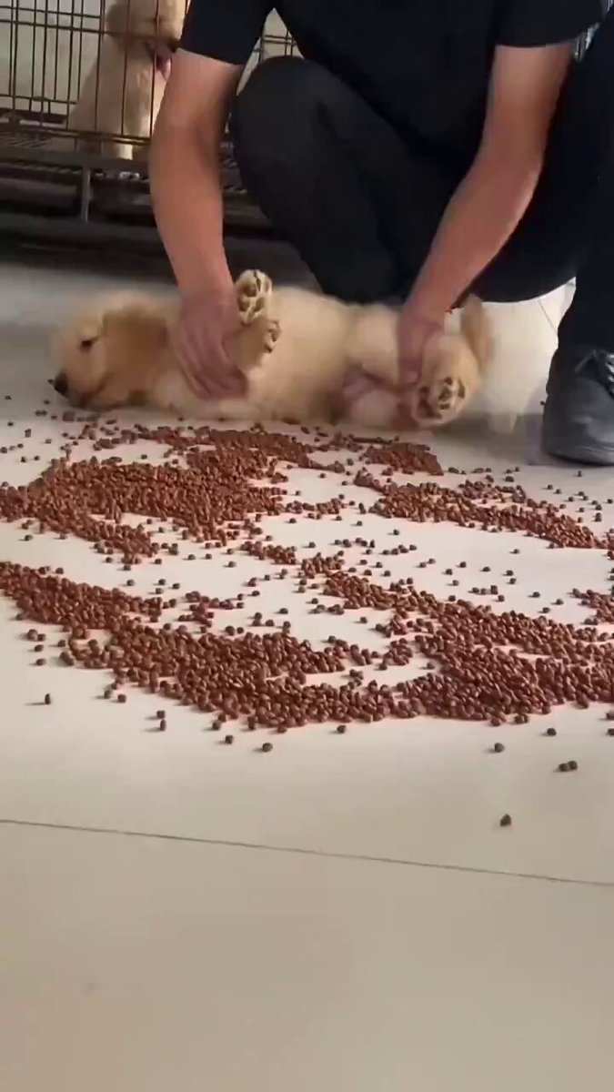 rwpeeanl1bwdxlu5