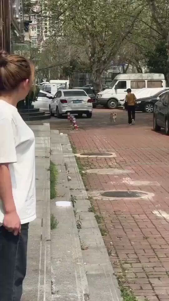5upguw8qju9drp6h