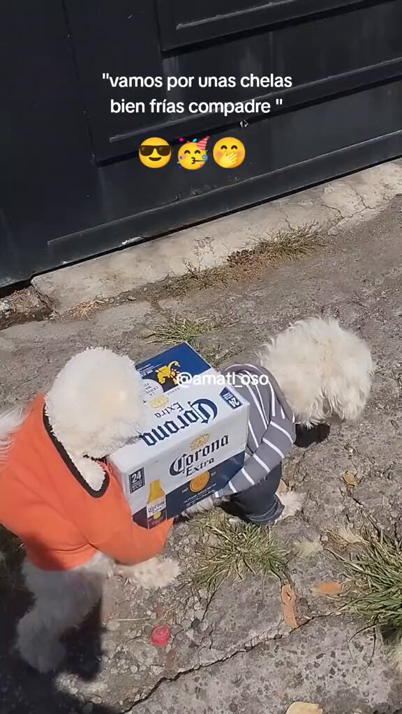qncxxmosck9cpdyd