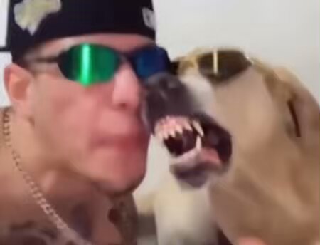y97s6yrzrgbpuugp