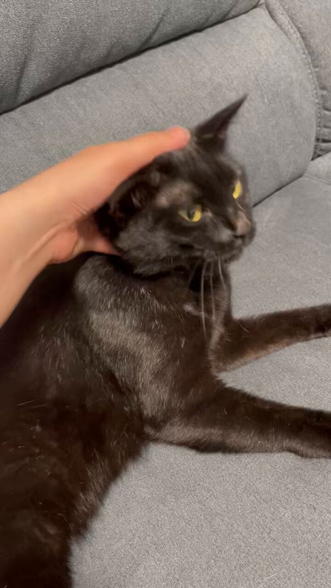 qznwiffwtdlgdlqk