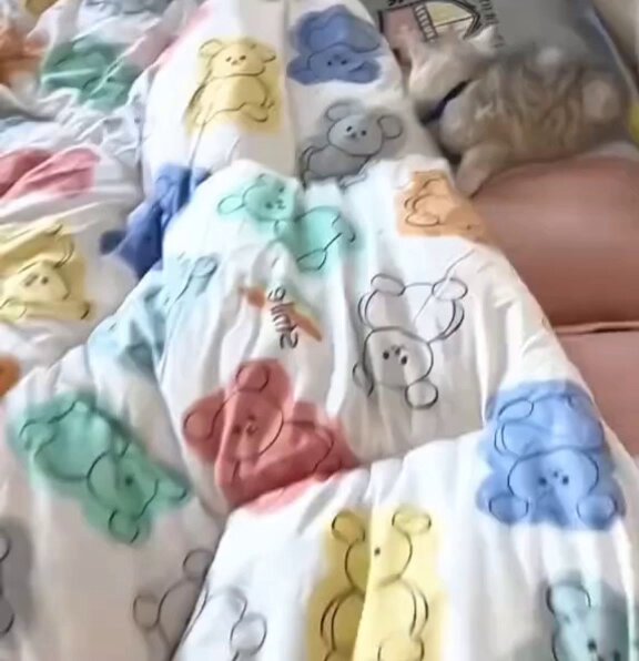 juxhmlmqqc8h4k4v