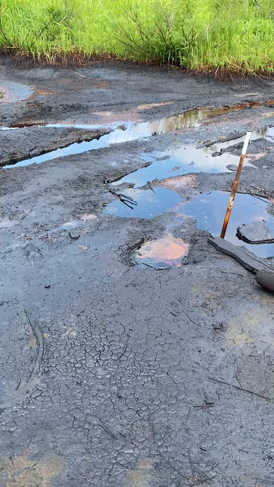 l49wnbm1if7ihbx9