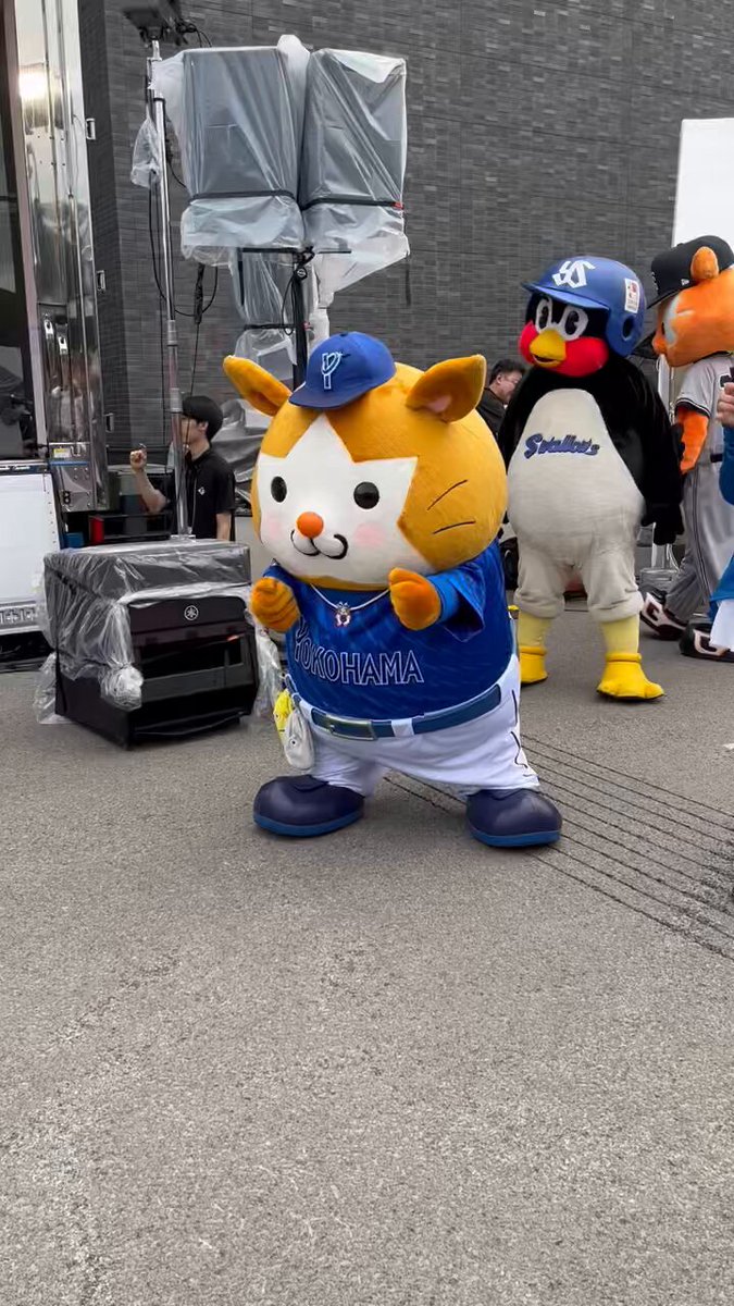 wkuippkncdhhfxzv