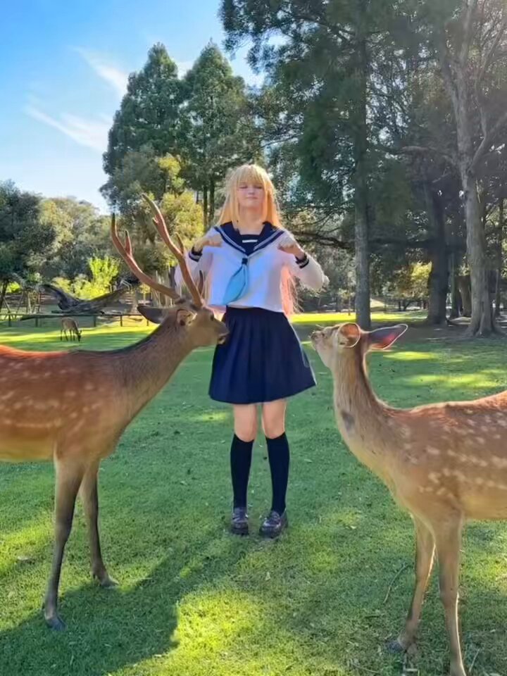 _ofxvflvadpr04zq