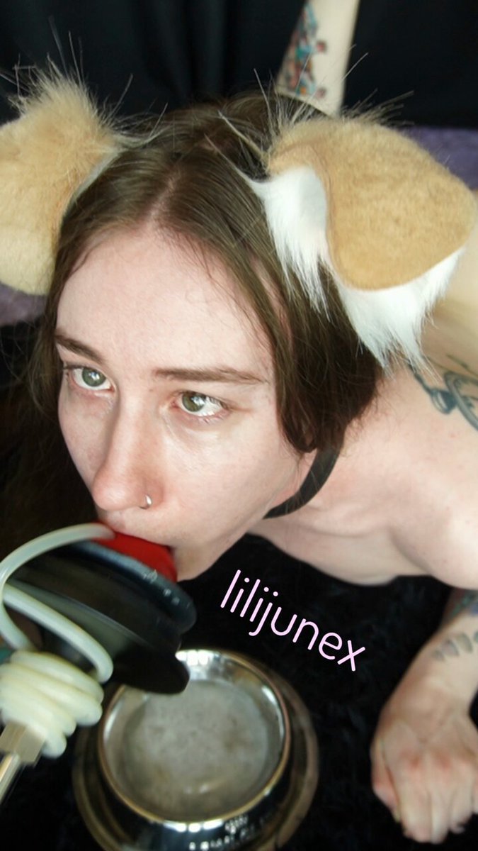 gagkcdntkoqn51q7