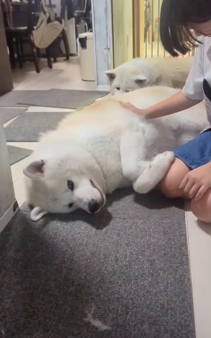 woblkiro5nsyyc1l