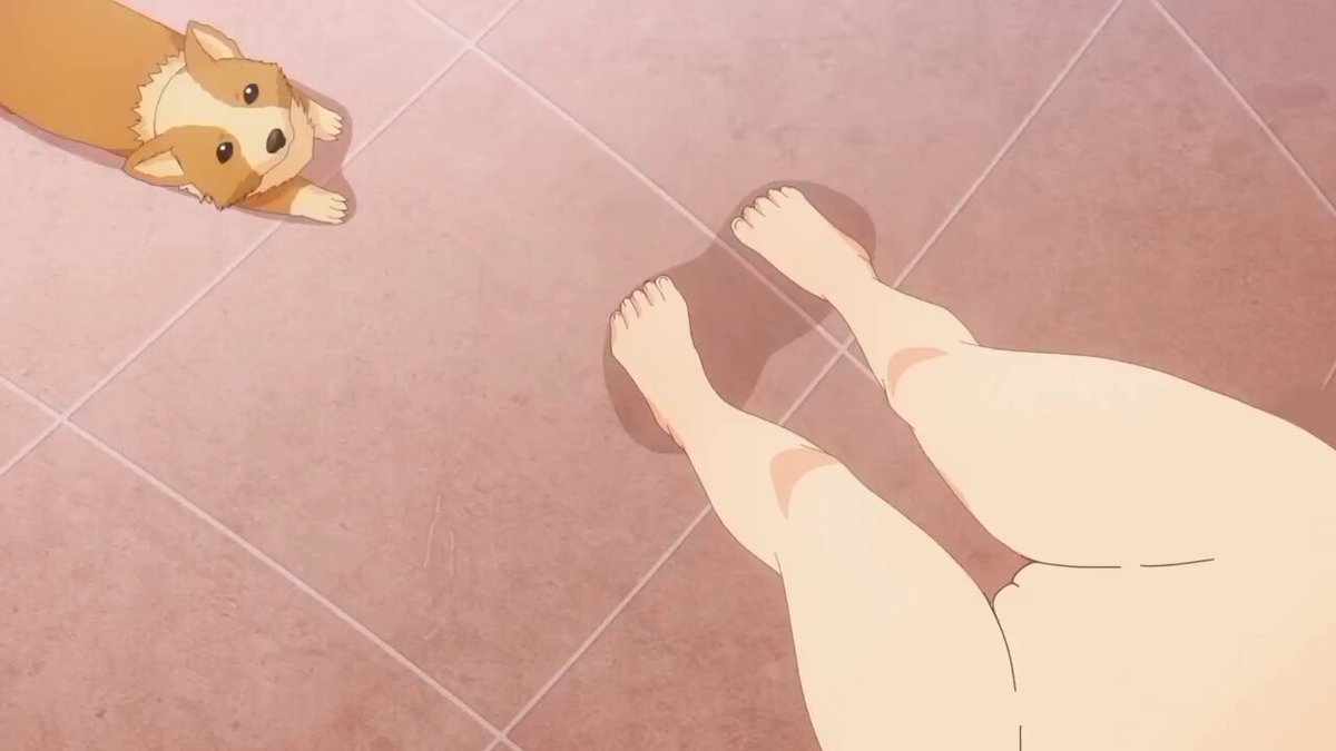 z-budlms79la8ucc