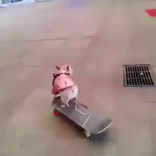 lmhoaperguxlm278