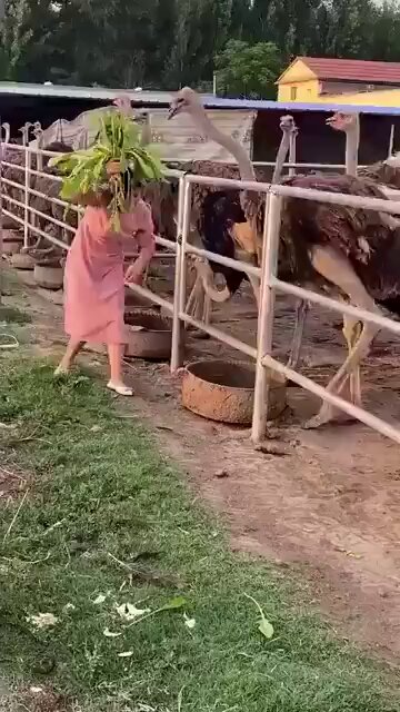 zavepw4yh3vsngvp