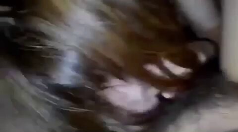 thota-p1u-v0rcdw