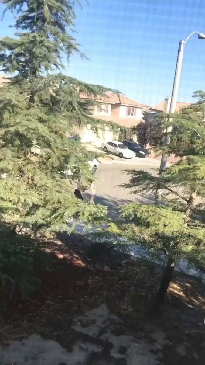 drno4cx_obefzezv