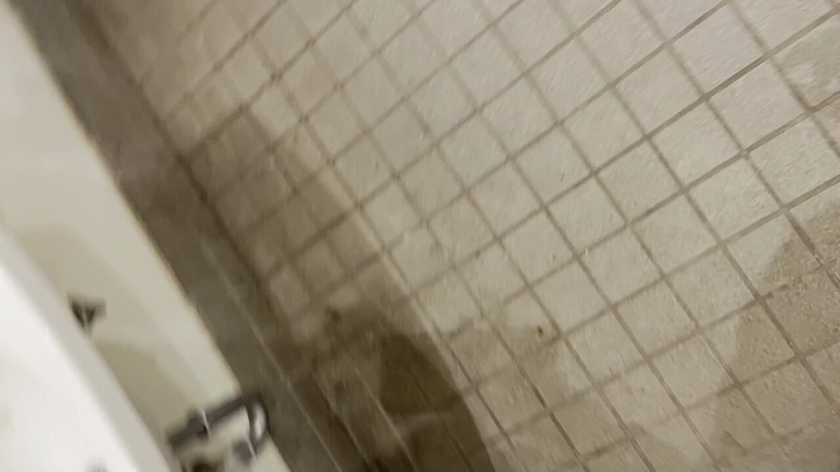 gfa4hig_pe2ekp62