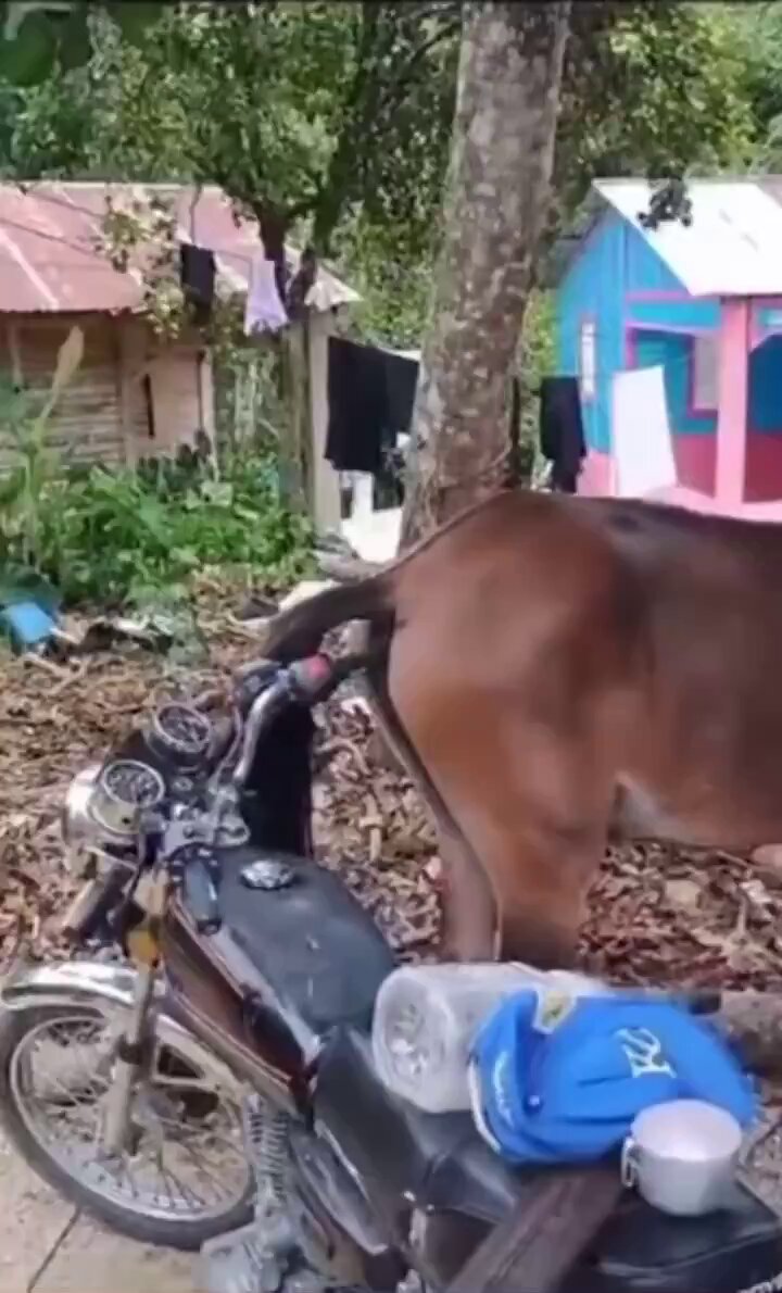 brzmypwbaekw1rrg
