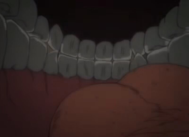 pdtrdwiaq4jne04c