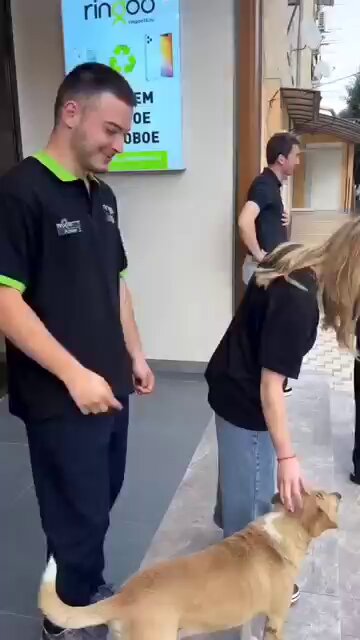 ngdistcpeqdr0pdu