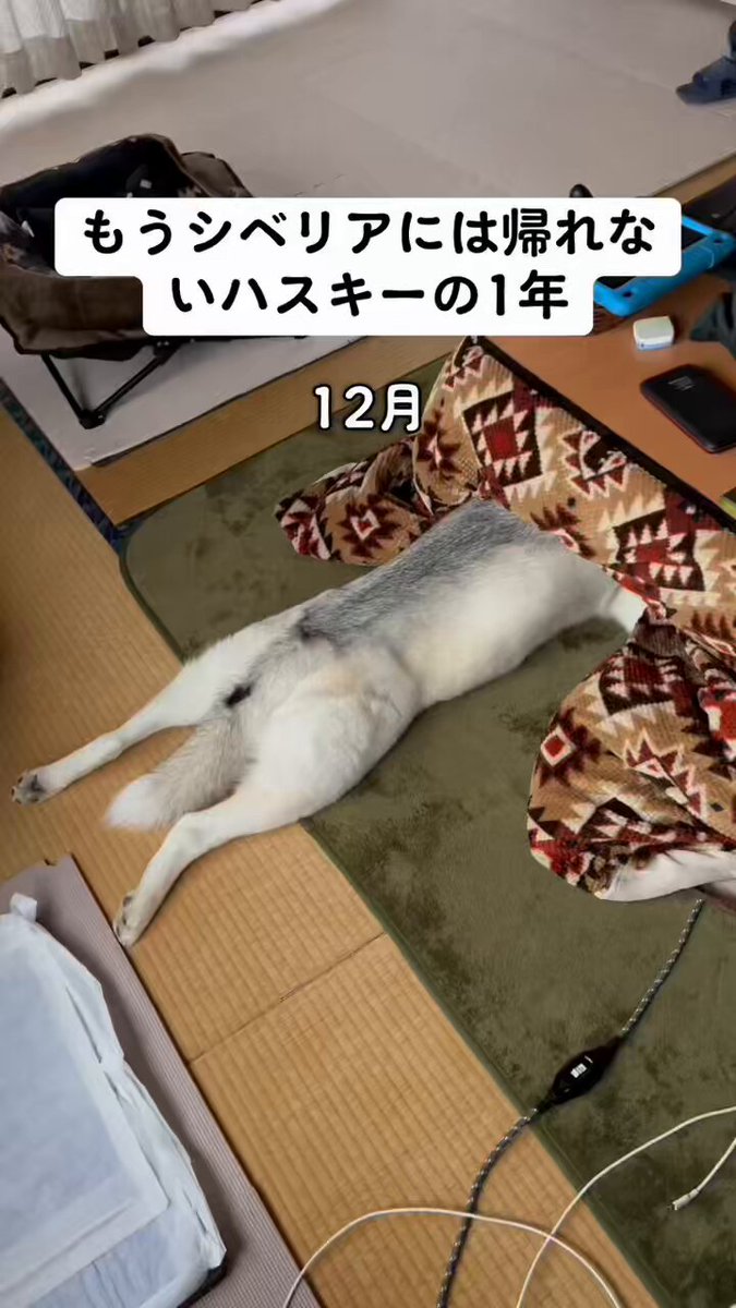 3hylb3cj6j1vi1t2
