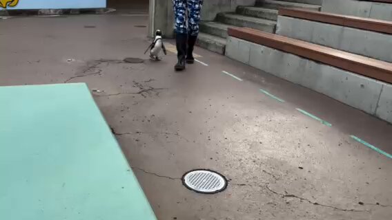 utspliqrzaacudu1