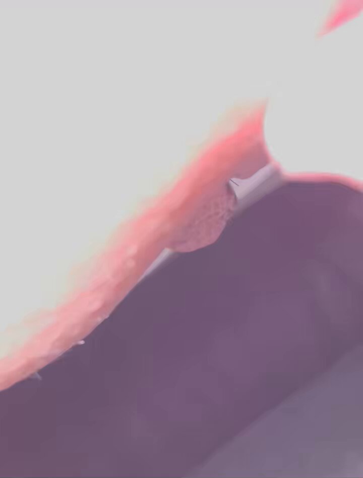 mveudekwyc5evd6f