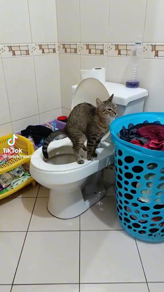 mbuawtpmexi4ai8q