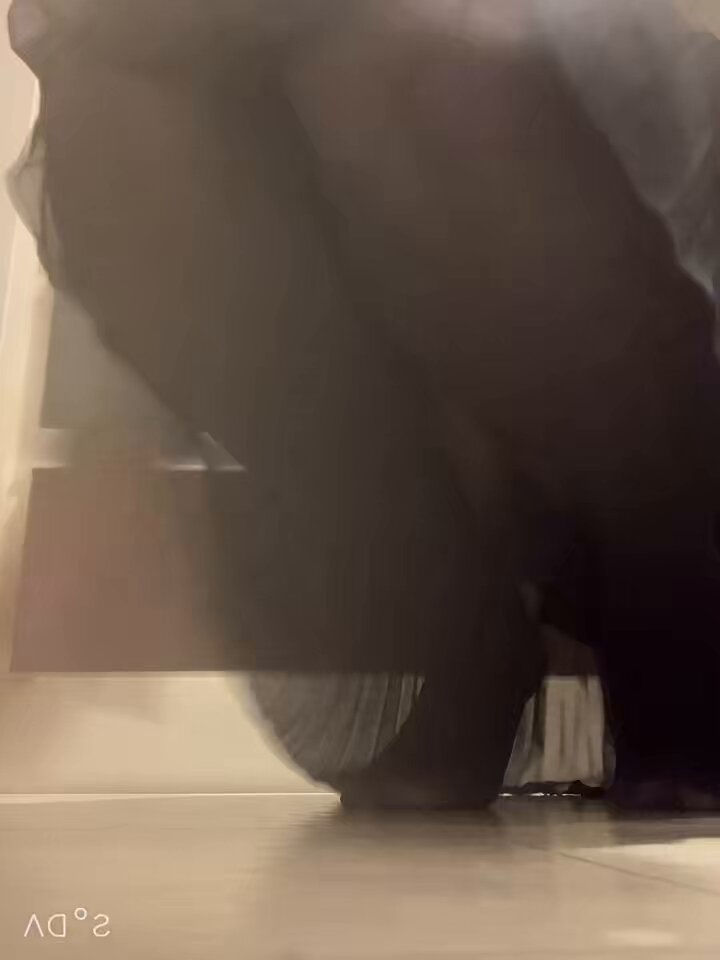 treoypvellp0e42t