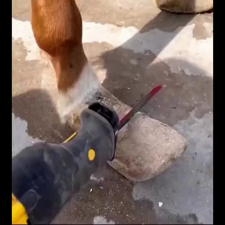nkqnz3ncf2dugvbc