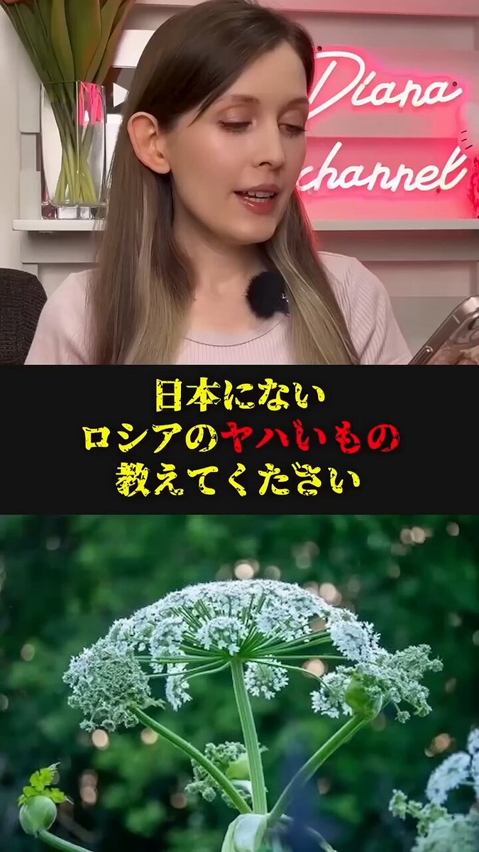 sgvbeyldqyfjm4t2