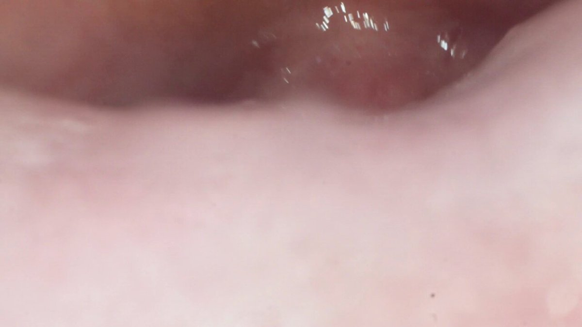 g0owgiyidw7-f8xx