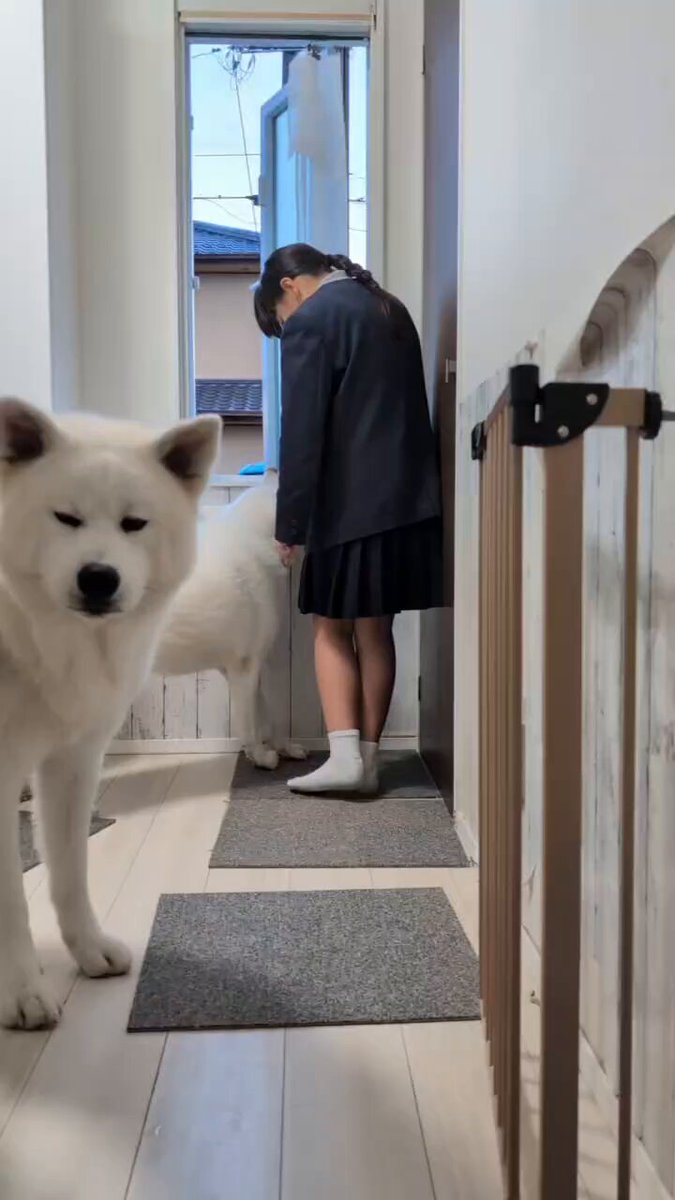 ga6_4yqtfrltkle3