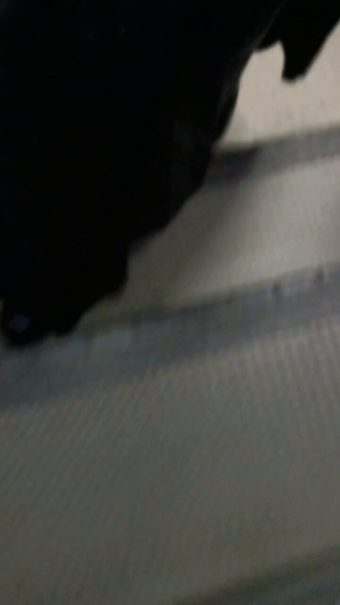 pkkmzp9nsp-rskvz