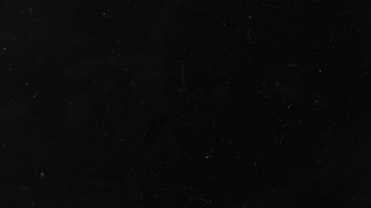 5m2nhinsqdf9zg-x