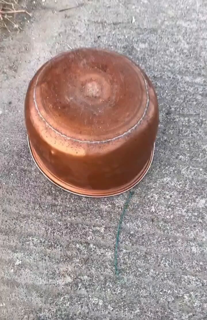 cwvz5kukijbcpafb