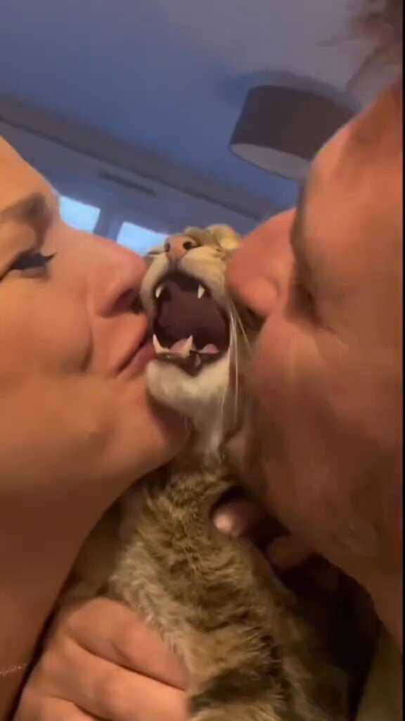 v0oibzplfpdlqirl