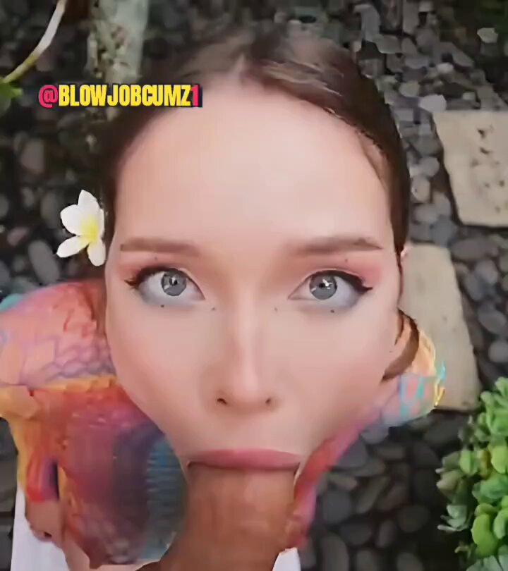 n-z6f5xyg1qjh6jk