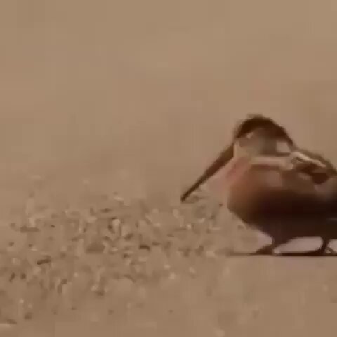 vxxxywgdq4mvjkzu