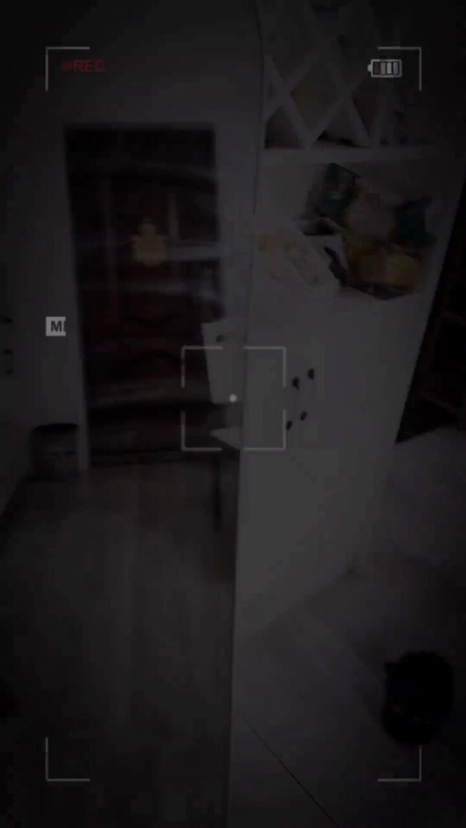 lbnwvwi2iyqsx7ff