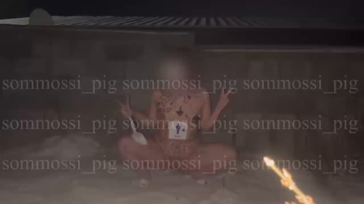 6ff97zgdok7mz89r