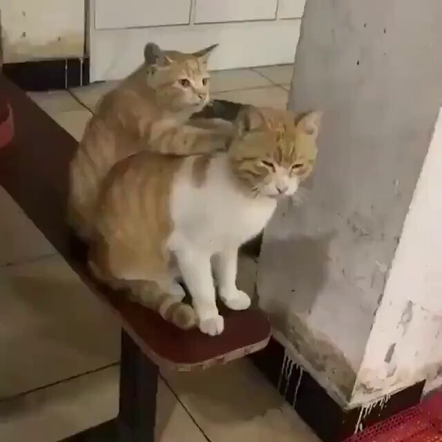 npqdmapta7nfdsdb