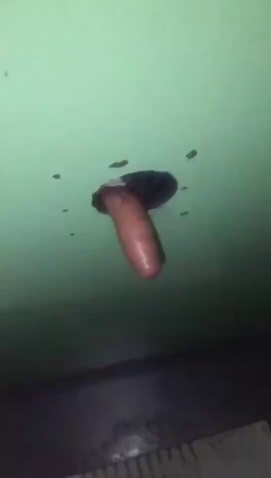 j-qe5e3ua2srgevu