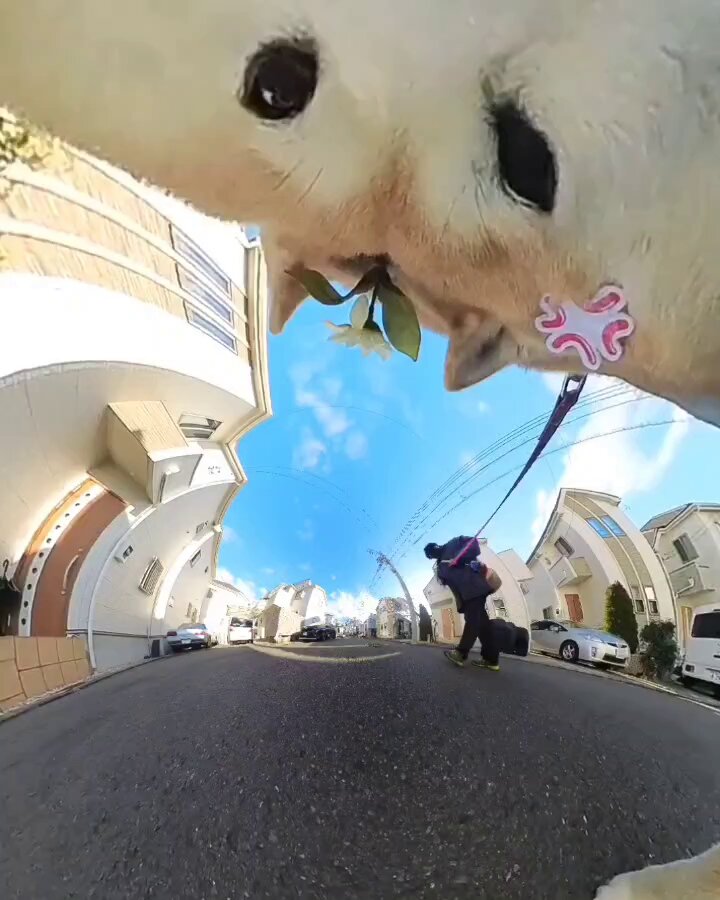ohbhwoptagyncbx_