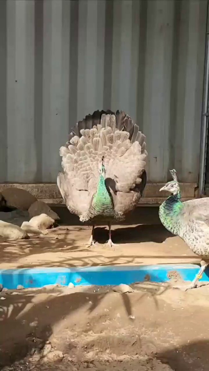 kirqhzqiaa2f3ov